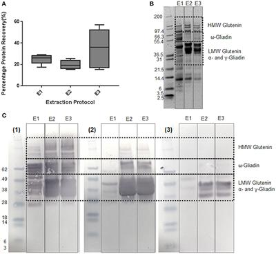 Comprehensive Proteomic Profiling of Wheat Gluten Using a Combination of Data-Independent and Data-Dependent Acquisition